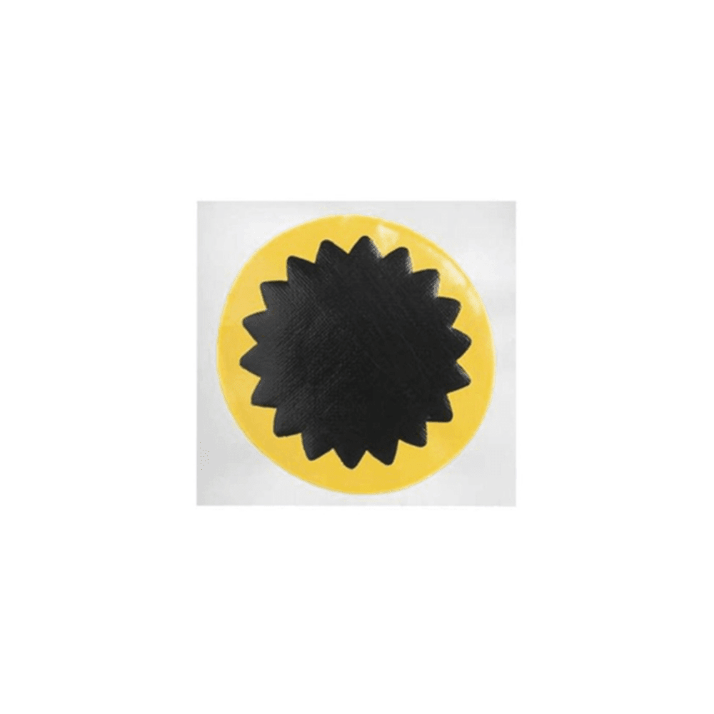 R-06 PRCHE P/CAM REDON x 25 UD