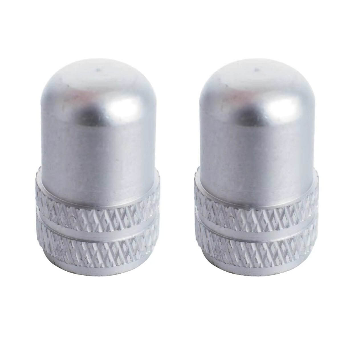 SZ-WBMZQMM-SL TAPITA SCHRADER x2