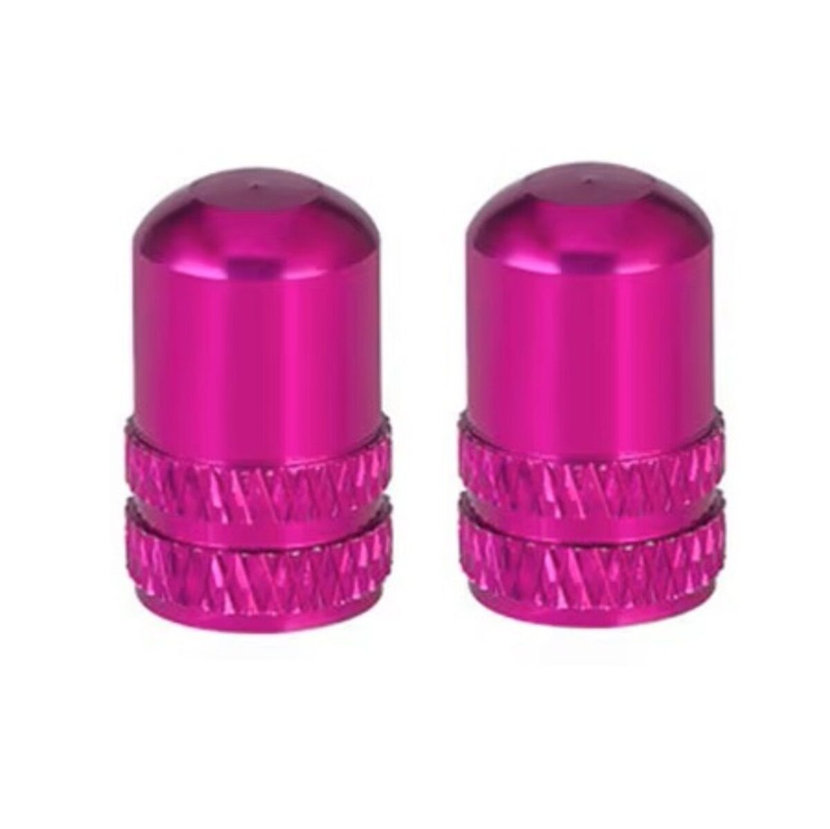 SZ-WBMZQMM-PU TAPITA SCHRADER x2