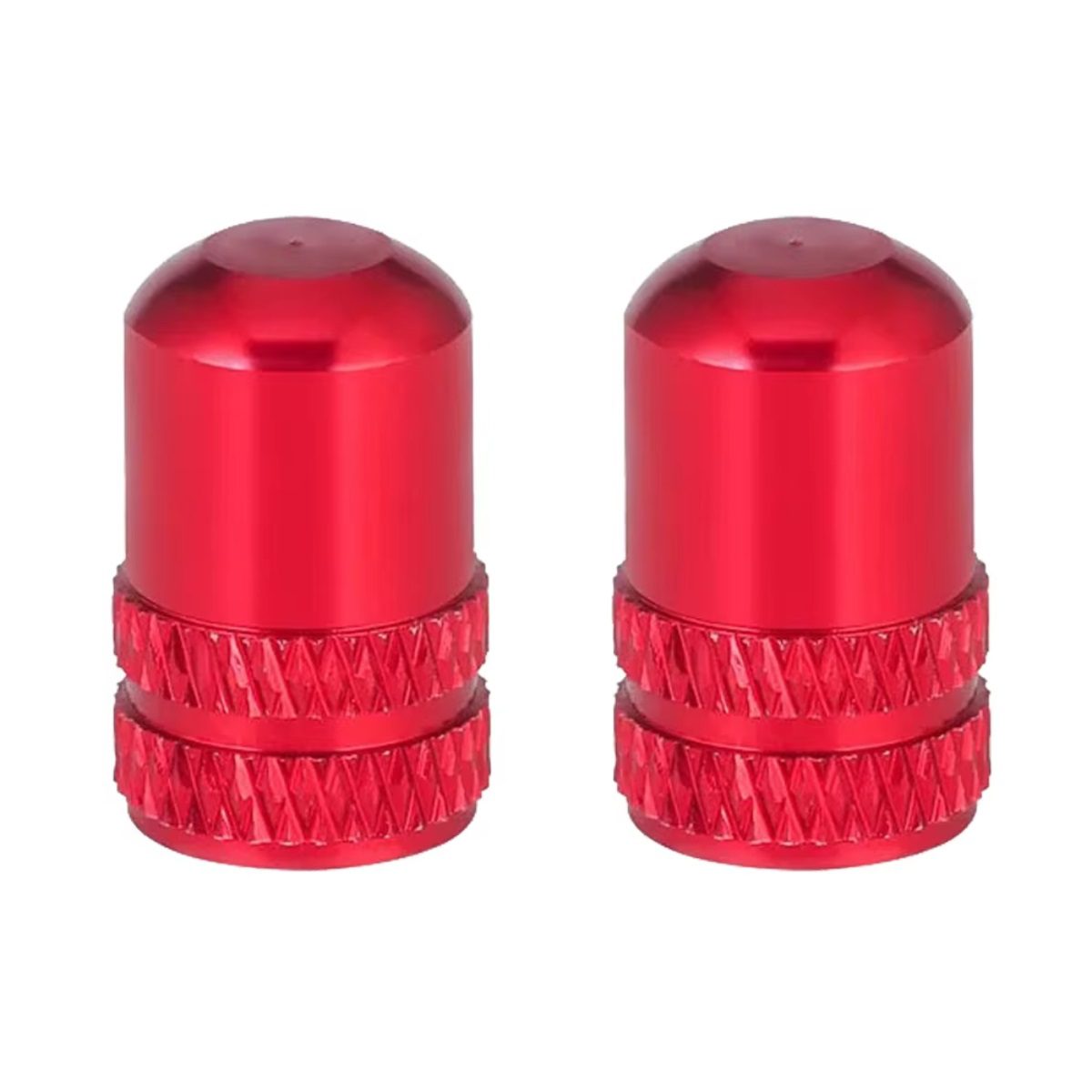 SZ-WBMZQMM-RD TAPITA SCHRADER x2